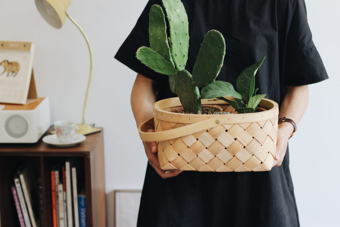 lizzie-gKk9rpyDryU-unsplash